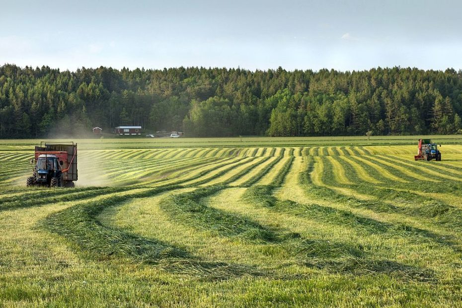 an image of two tractors as part of a farming business