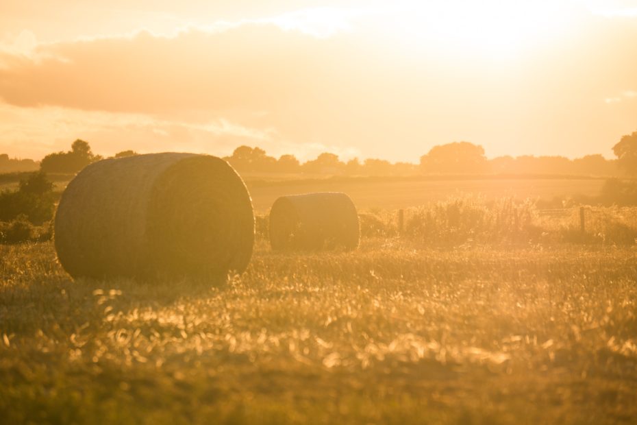 Hay Bales